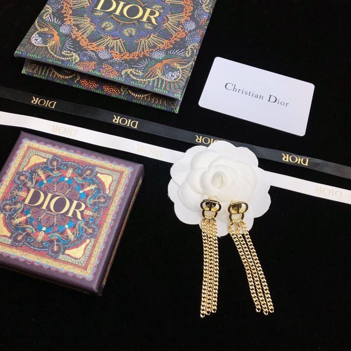 Christian Dior Earrings